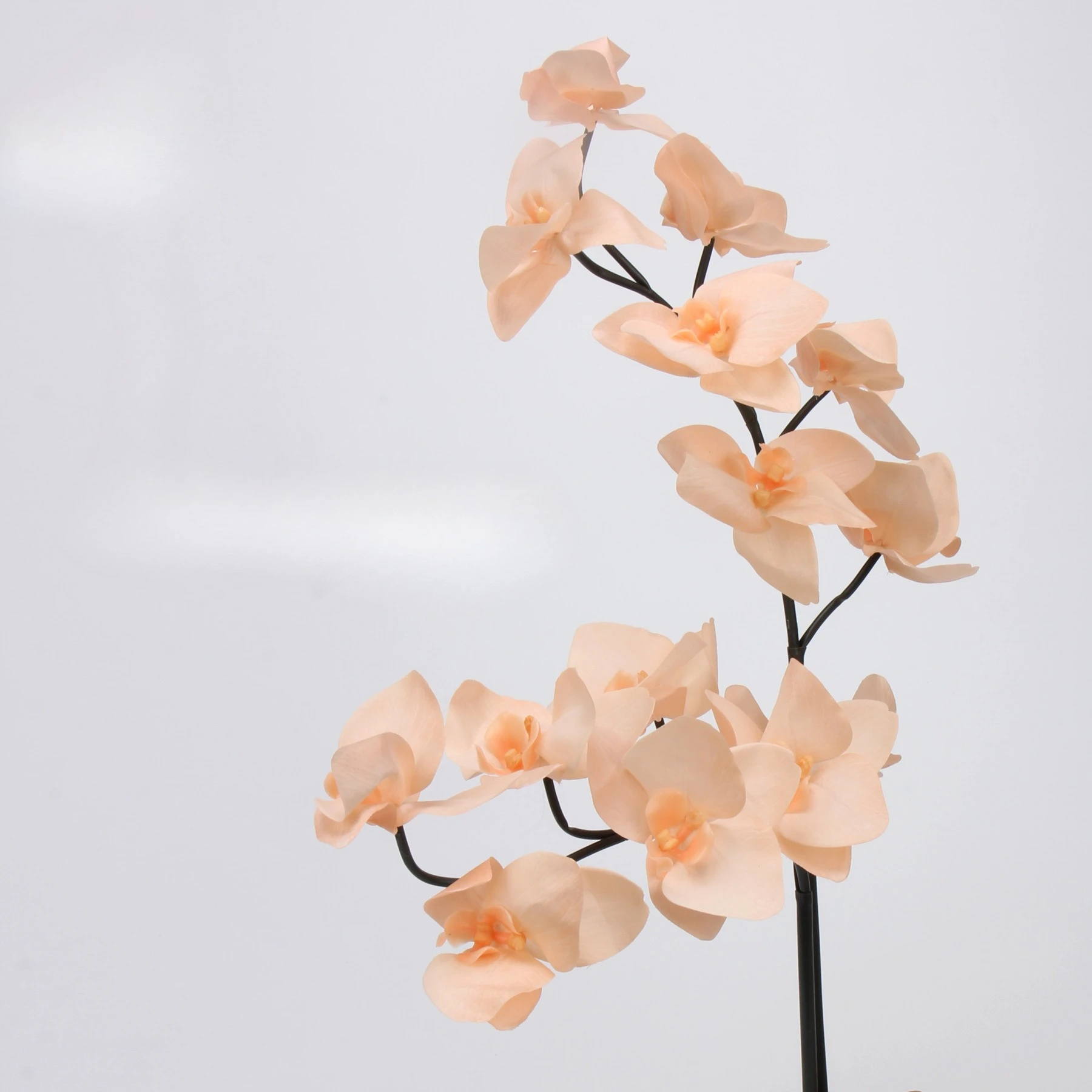 

2pc 65cm TPE Phalaenopsis Orchid Artificial Flower - Soft-Touch Realistic Fake Plant for Home Wedding Decor
