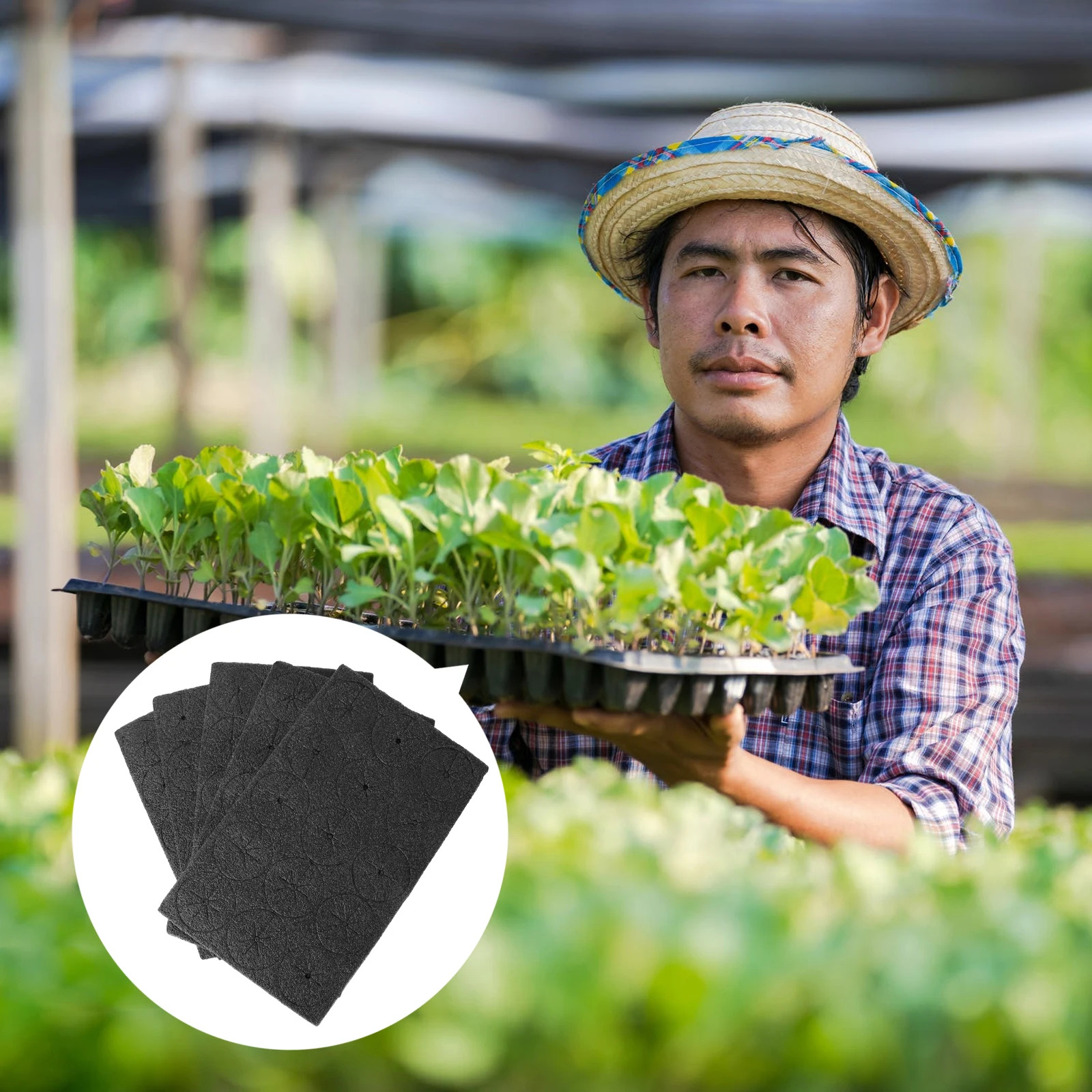 

75pcs Hydroponic Sponges Greenhouse Planting Foam Growing Medium Soilless Cultivation Vegetable