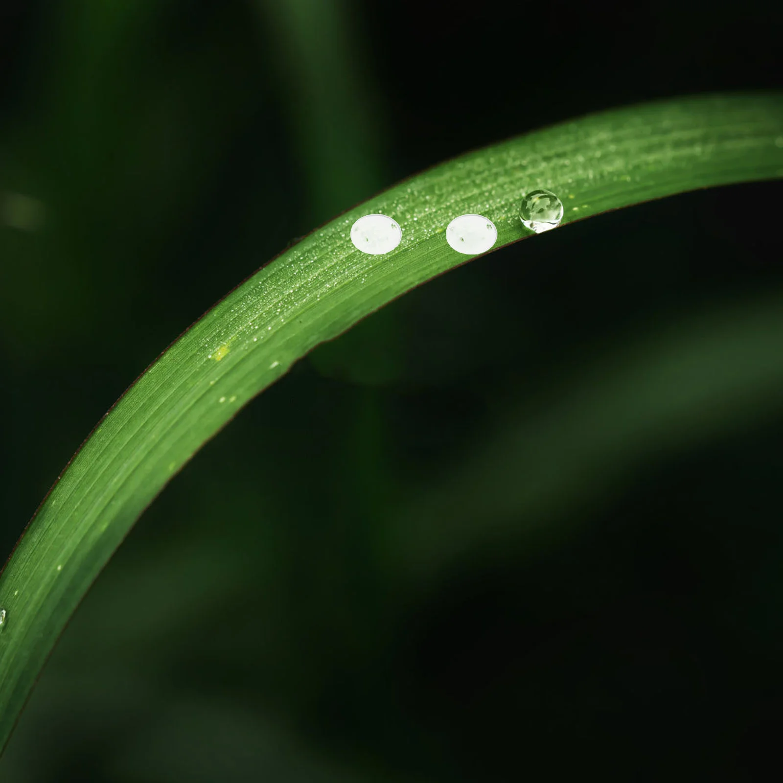 

1050Pcs Clear Dewdrop Embellishments Realistic Resin Water Drops 3 4 5 6Mm Fake Dewdrop Adhesive Stickers for Paper Craft DIY