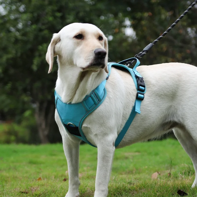 Dog Harness Outdoor Training Anti Lost Pet Vest Harness Matching Dog Traction Rope For Puppy Walking Daily Outdoor Activity