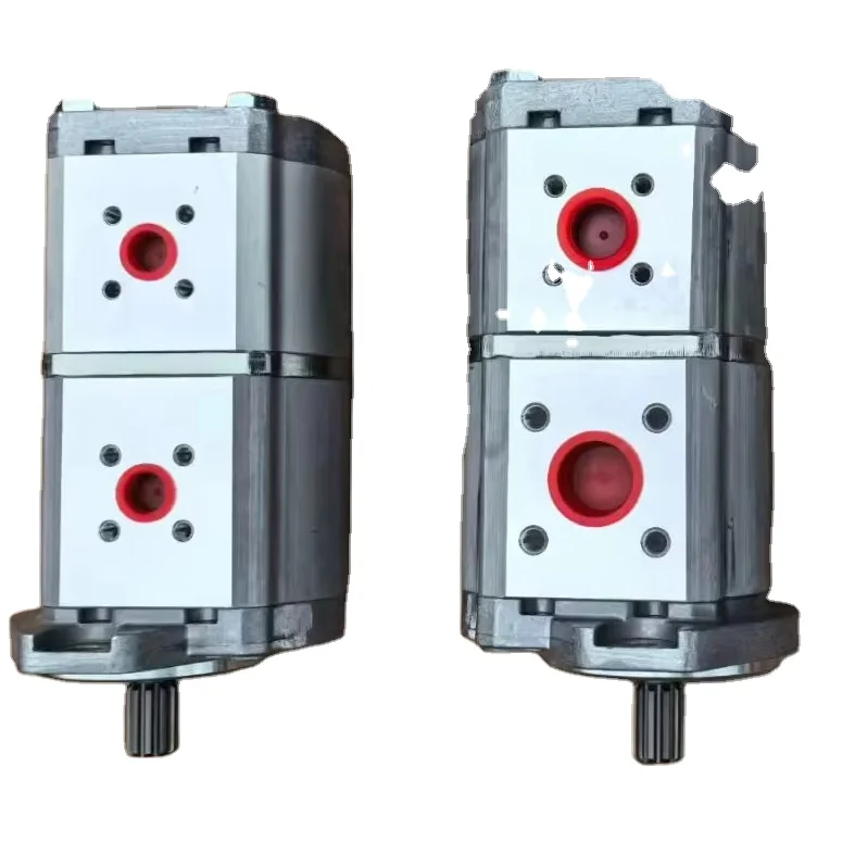 Paving machine construction machinery parts 2183429 dual gear pump