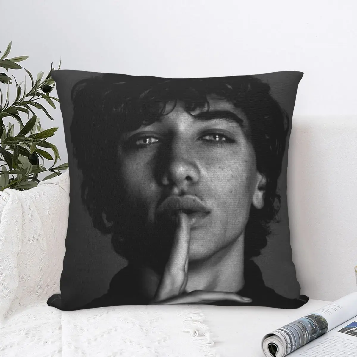 JEREMIAH FISHER The Summer I Turned Pretty Pillow Case Cushion Cover Soft Pillow Cover Pillowcases For Office Home Decorative
