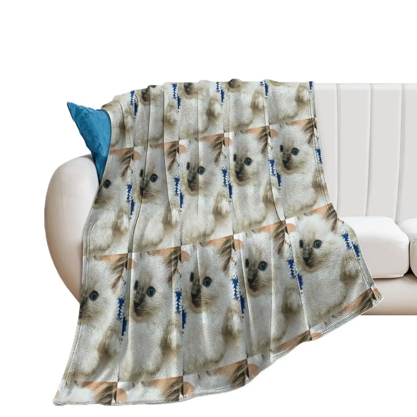 Ragdoll kitten Throw Blanket Cute Warm Furrys Blankets