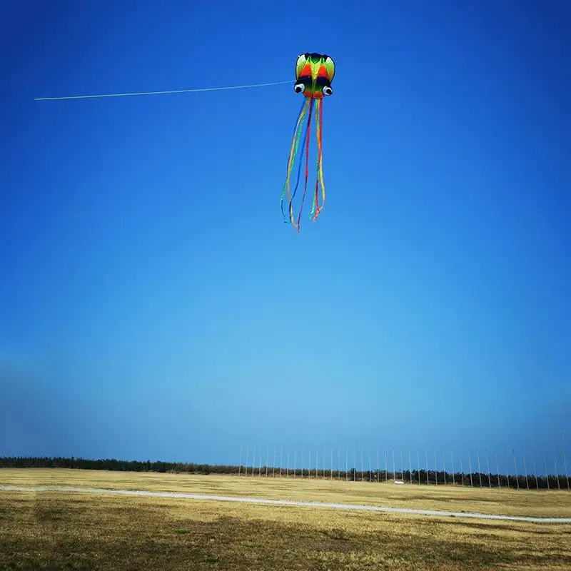 1 Set Giant Zachte Vliegers Voor Volwassenen Outdoor Speelgoed Regenboog Gekleurde 3D Octopus Zachte Vlieger 4 m Giant Kite Met 100 m Band Lijn