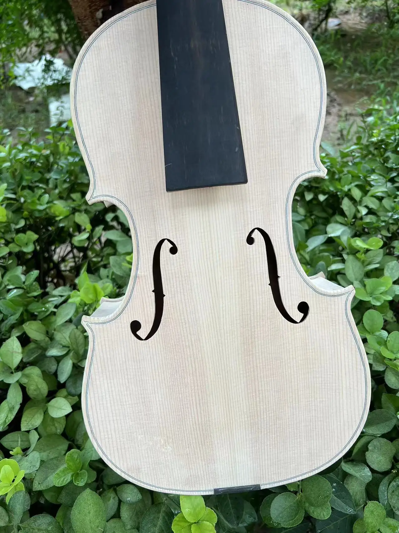 Order Thicker rib,5 string viola 18