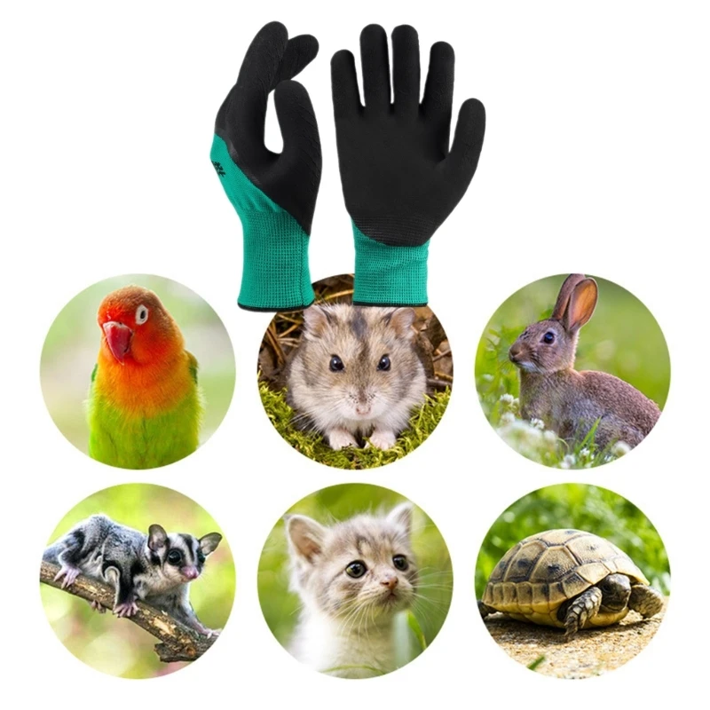 Guantes antimordeduras para loros, guantes protectores seguridad para trabajo para mascotas pequeñas, para masticar y