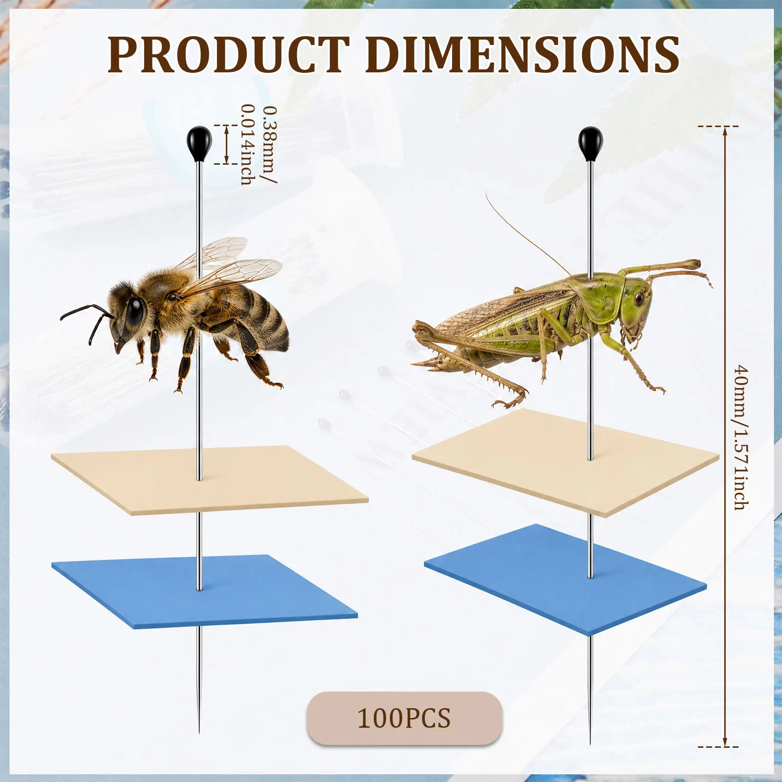 100Pcs Stainless Steel Specimen Needle Insect Pins With Plastic Box For School Lab Education Entomology Body Dissection Supplies