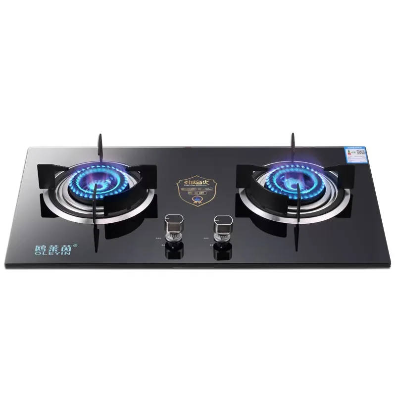 Hot Sale Dual Burner Gas Portable Stove