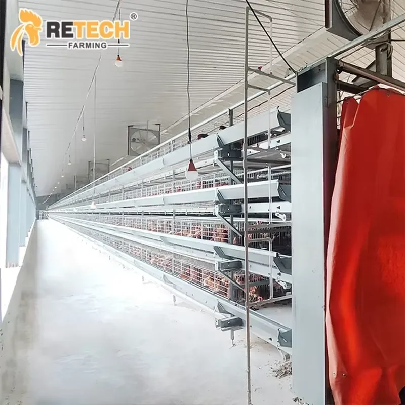 Automatic Egg Collecting System for Retech Farming Closed Chicken House Design Galvanized Steel Poultry Battery Cage