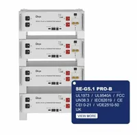 Deye SE-G5.1Pro-B 2024 New lifepo4 lithium 51.2V 100Ah deep cycle battery for solar energy system
