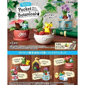 Pokemon Blind Box Mainan Miniatur Bonsai Adegan Pidgeot Dragonair Bulbasaur Growlithe Scizor Boneka Mainan Mengumpulkan Ornamen 12 pertumbuhan penjualan terbaik - №