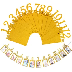 Baby One Year 12 Months Photo Banner Baby Boy Girl 1 Year Birthday Party Decorations Photo Garlands Baby First Birthday Party