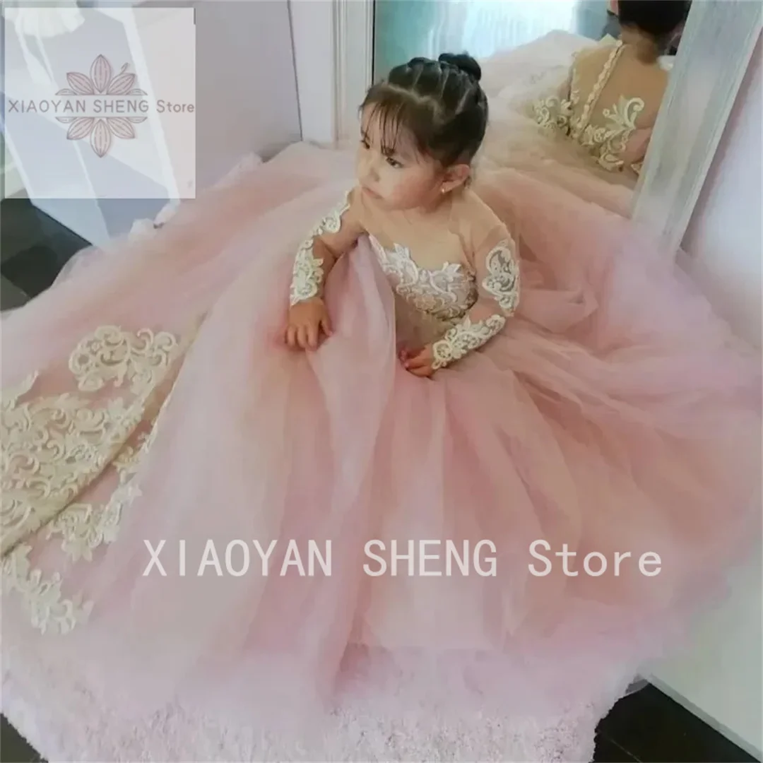 Flower Girl Dress Sheer Neck Long Sleeves Lace Pink Princess Baby Girl Birthday Party First Communion Wedding Gown