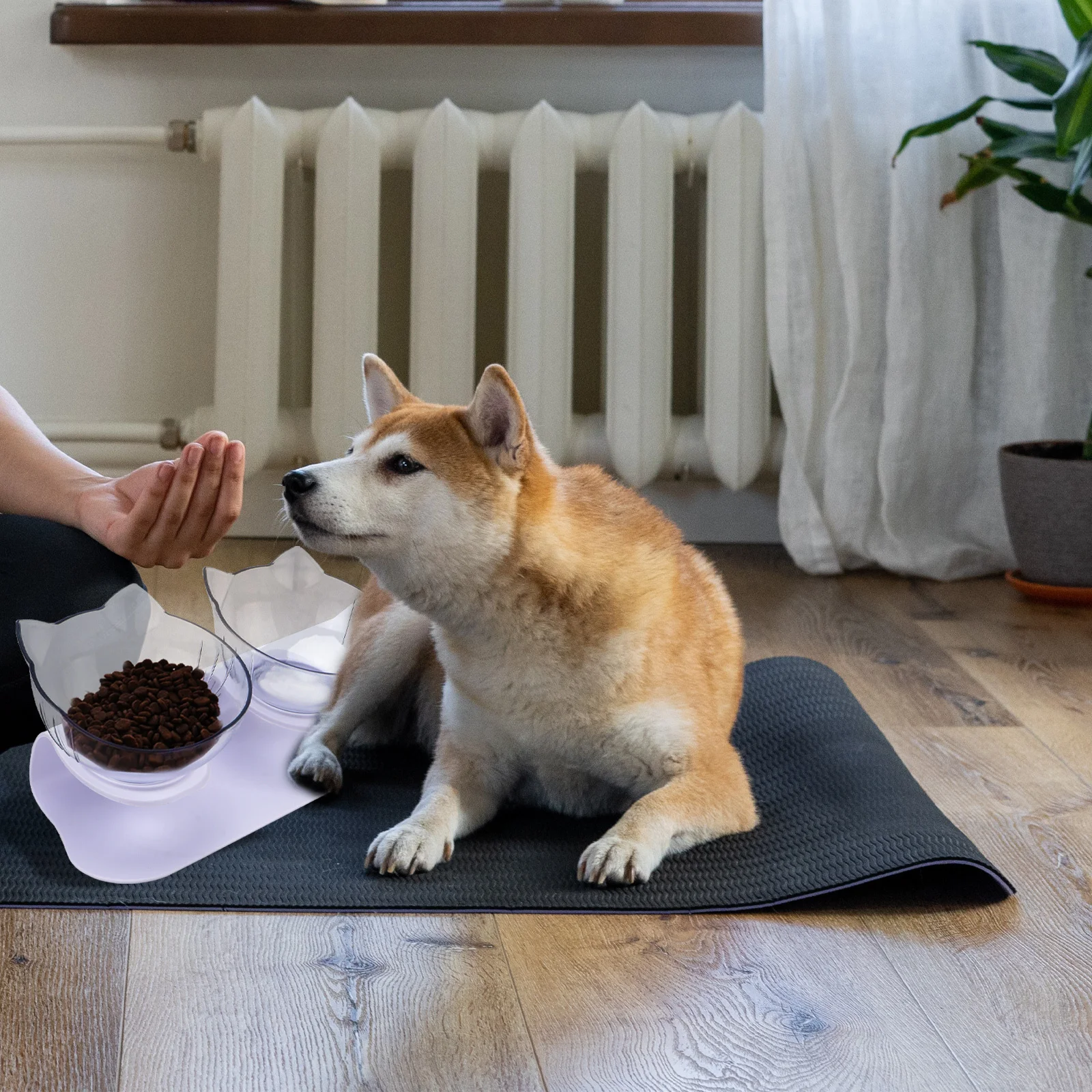 

1 set 1 Set Of Anti-Slip Pet Bowl Cat Ear Shaped Feeding Container High Base Food Water Bowl For Cats Dogs Pet Supplies