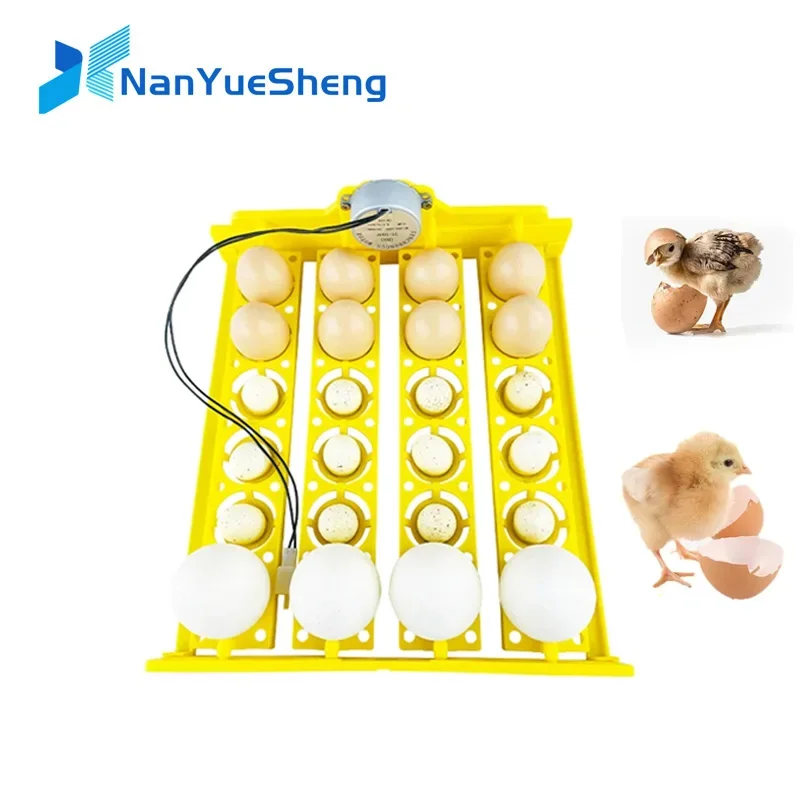 

Egg Incubator Tray Egg Incubator Breeder 24 Eggs Hatching Incubator Turning Motor for Chicken Bird Turkey Eggs Home