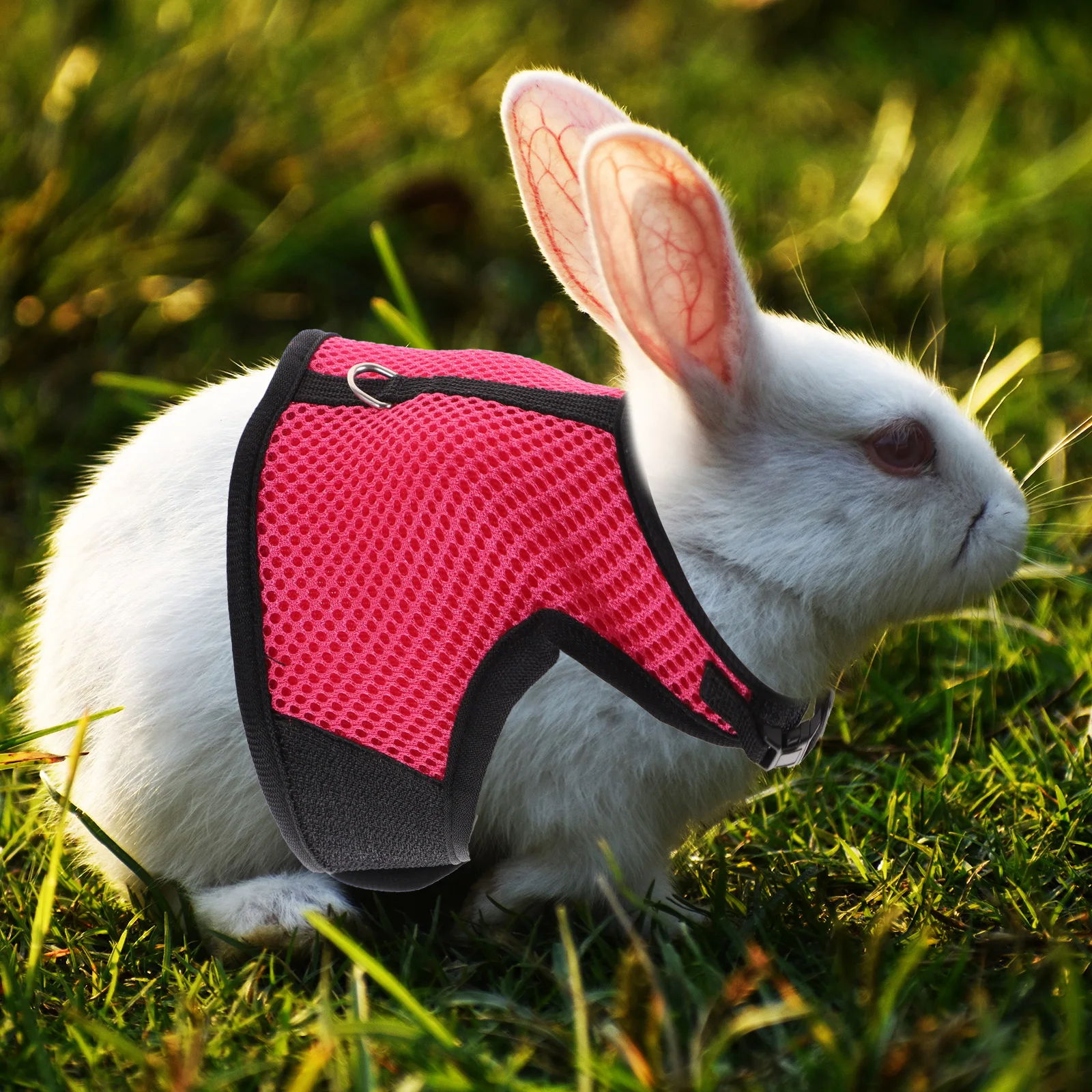 

Leash Set Rabbit Ferret Guinea Pig Vest Soft Breathable Premium Material Small Animal Toys Dog Harness Fleece Liner Bunny