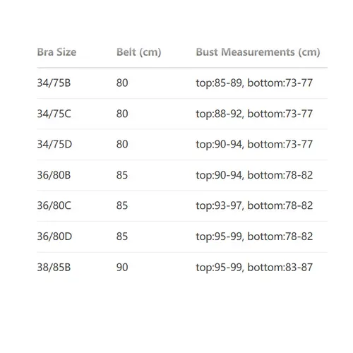 Imagen 2 del producto Sujetador de danza del vientre + cinturón, 2 uds., cadena de cintura Sexy para mujeres adultas, puesta en escena, traje de actuación de baile con tiras de Carnaval