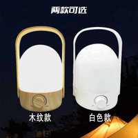 Household night light camping tent mosquito repellent lamp