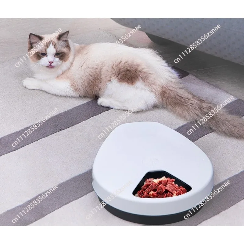 Pet refrigerator automatic wet food feeder plug-in refrigeration preservation meat smart cat food machine