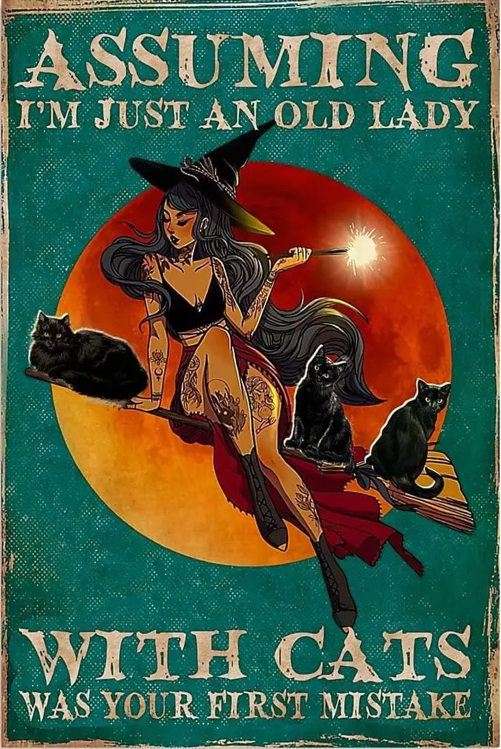Retro Metal Tin Sign  Assuming I;m Just an Old Lady with Cats was Your First Mistake Poster Black with Wit-aluminum