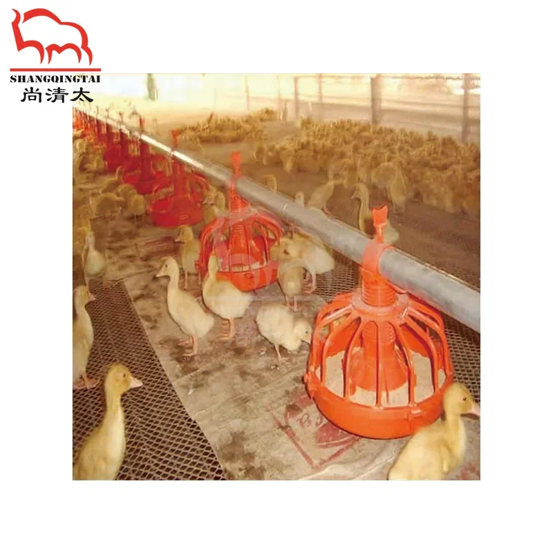 automatic feeding and drinking water system for ducks poultry farming chicken feeder equipment complete