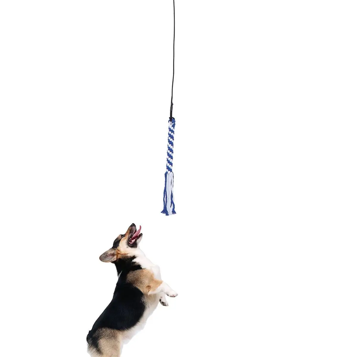 

Dog Toys with Squeaker Interactive Puppy Agility Equipment Extendable Flirt Pole