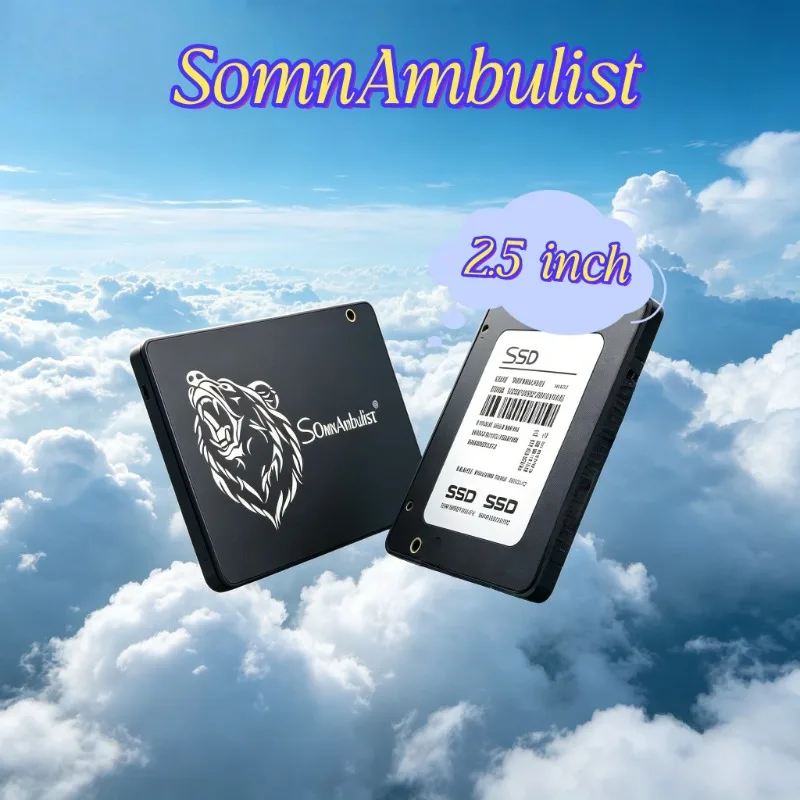 ssd-interne-somnambulist-25-pouces-sata3-128-go~2-to-economique-et-performant-pour-ordinateur-de-bureau-ordinateur-portable-mise-a-niveau-pour-etudiants