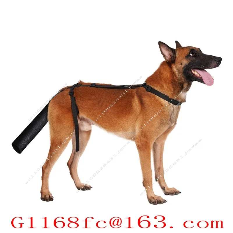 Pet Dog Tail Protector Can Be Adjusted for Hair Loss Due To Injury