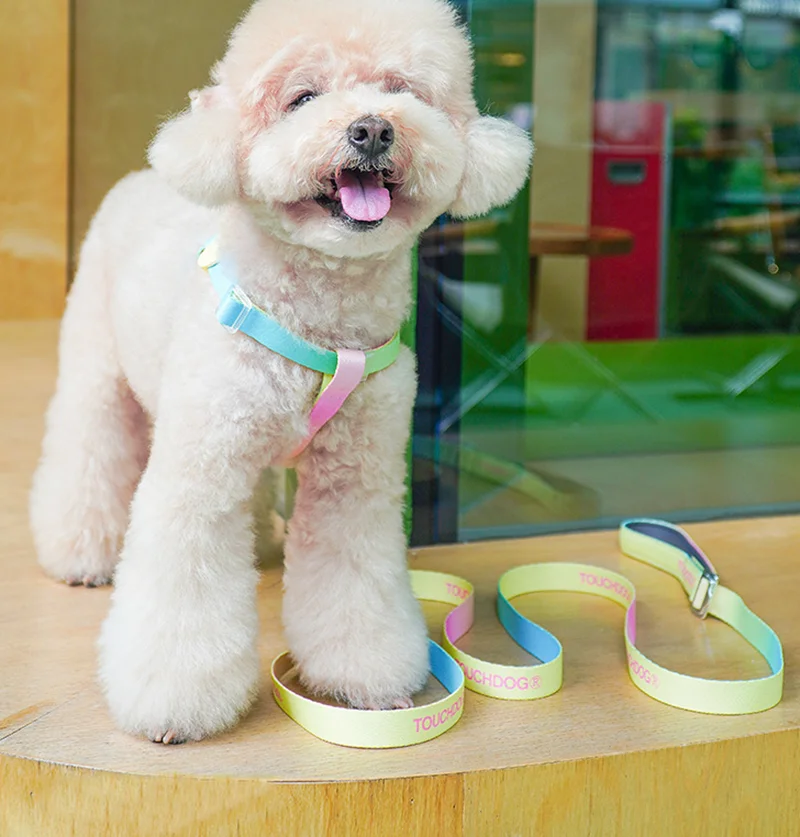 

Y-образный поводок для собак, набор поводков, удобный, не удушающий, коллекция омбретов, прочный поводок для собак для мелких и средних пород