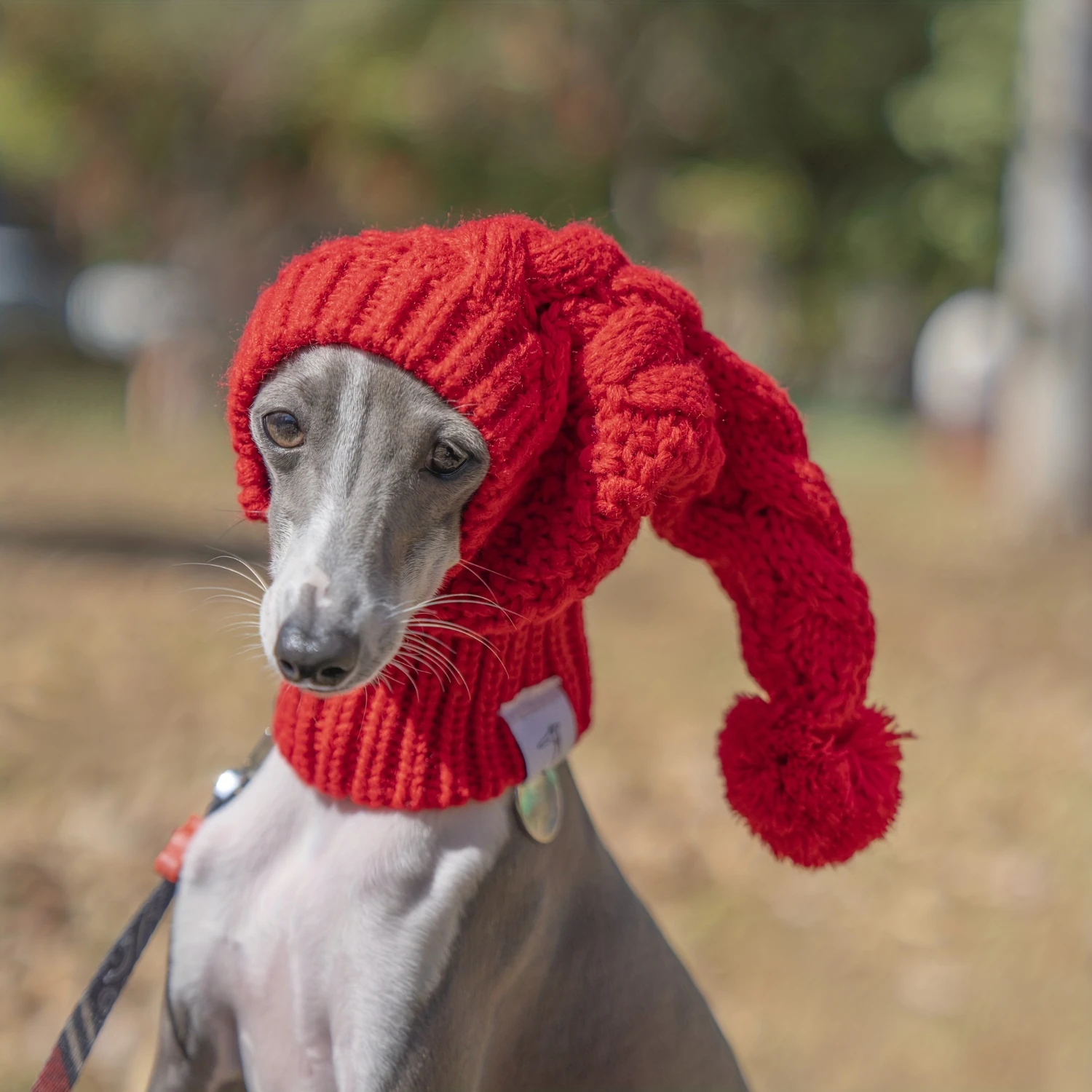 Chapeau en laine rouge pour animaux de compagnie, mignon et chaud, petit, moyen et grand chien, décoration parfaite pour l'hiver, 1 pièce