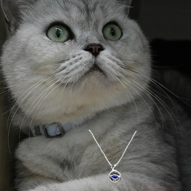 

2025 fashion hot selling Spanish trend silver high-end necklace exquisite jewelry niche versatile gentle accessories