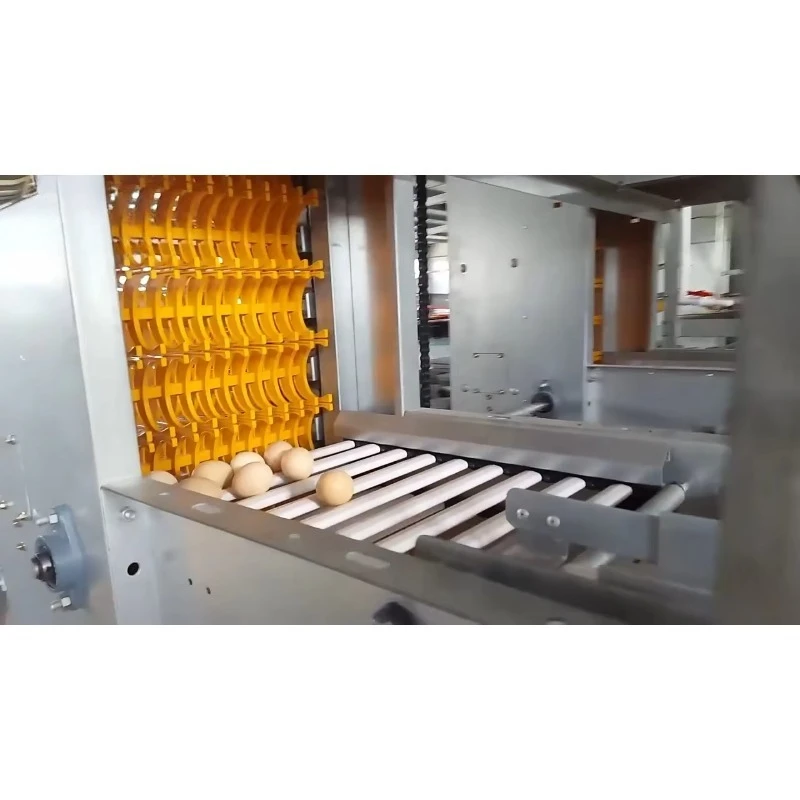 High Efficiency Full Auto Egg Collection System Complete Egg Picking Machine for Poultry Turnkey Solution