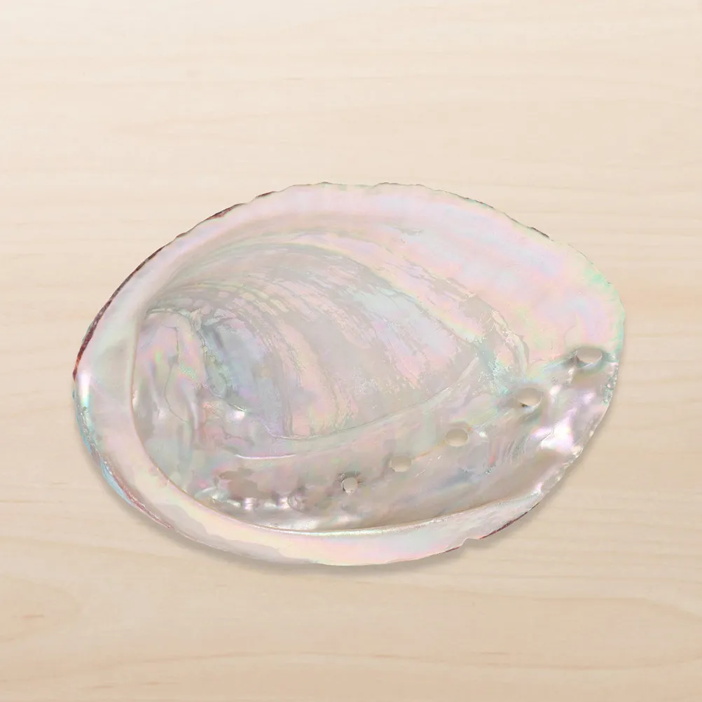 Abalone Shell Aromatherapy Burning Container Rough Natural Shell Multi-Function Holder Home Desk Decoration Household Decor