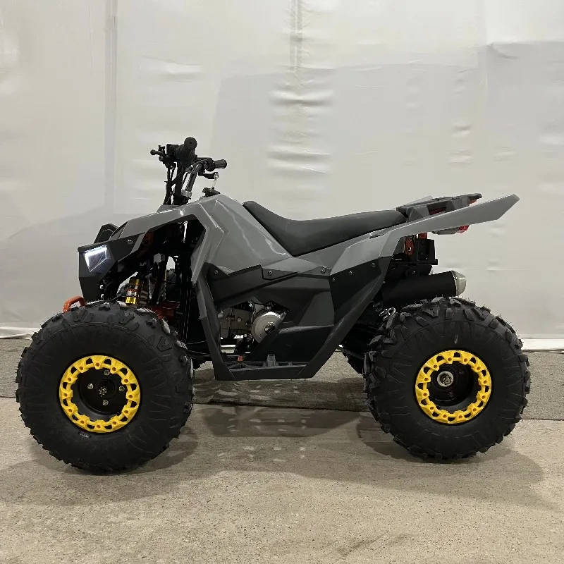 Beach Buggy All-Terrain Four-Wheel Off-Road Mountain Motorcycle Chain Drive Transmission