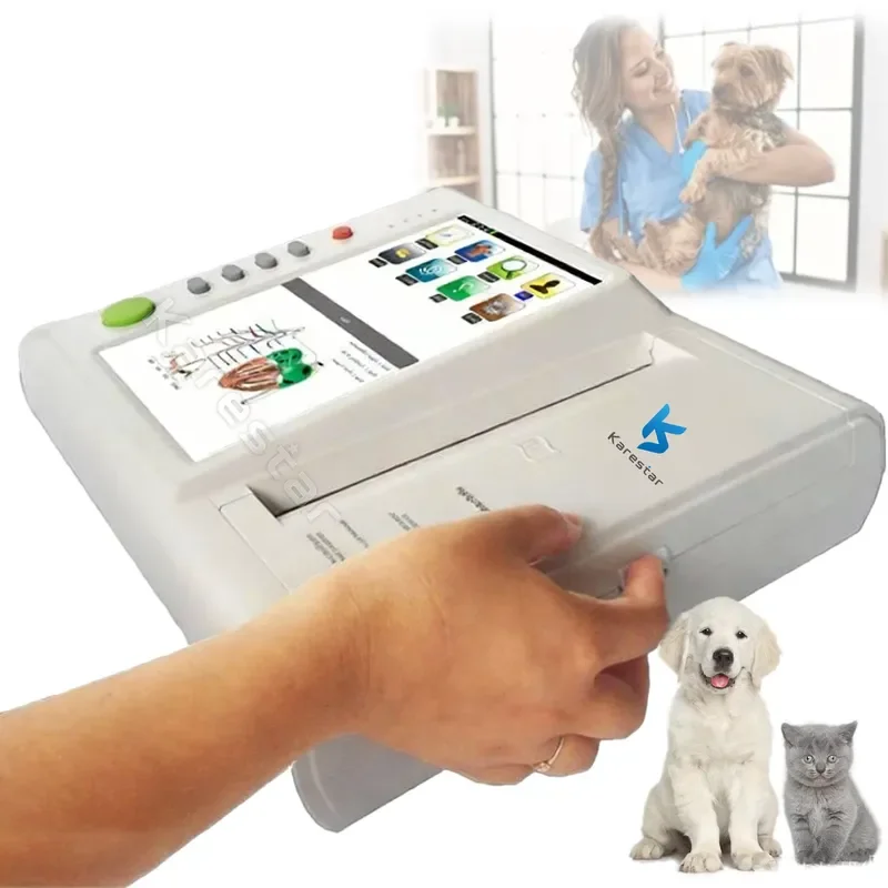 Modern Medical 12 Lead 12 Channel Digital Resting Machine for Veterinary Pet Heart Monitoring Diagnostic Equipment