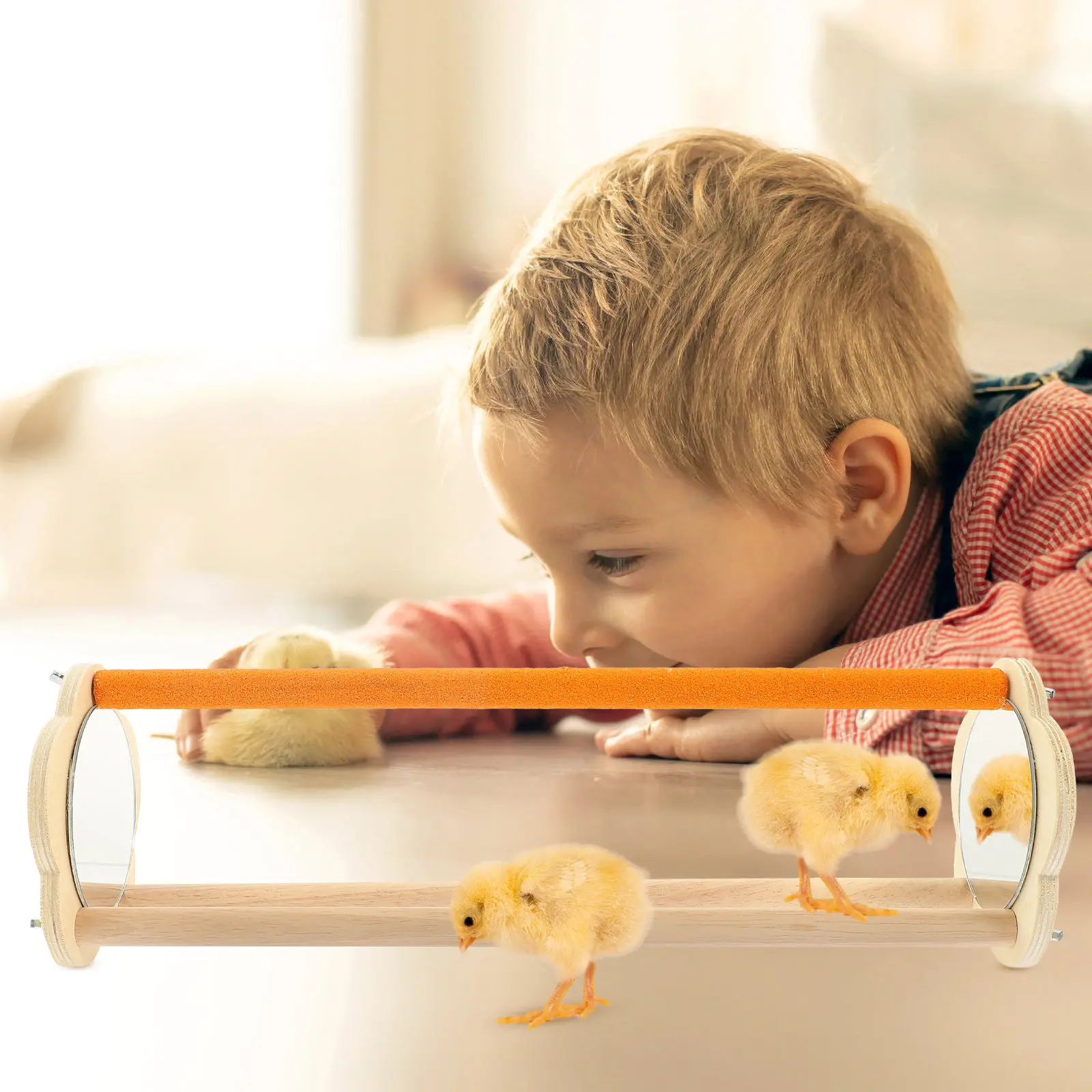 Wooden Parrot Stand Tabletop Bird Training Perch with Mirror Natural Indoor Chicken Perch Accessory