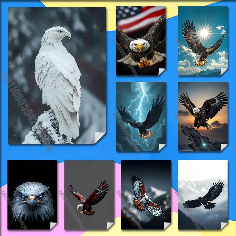 

Eagle Hawk Falcon Bird Poster Sticker For Bars 40x60cm Self-adhesive Ornament Collectibles Playbill Cover