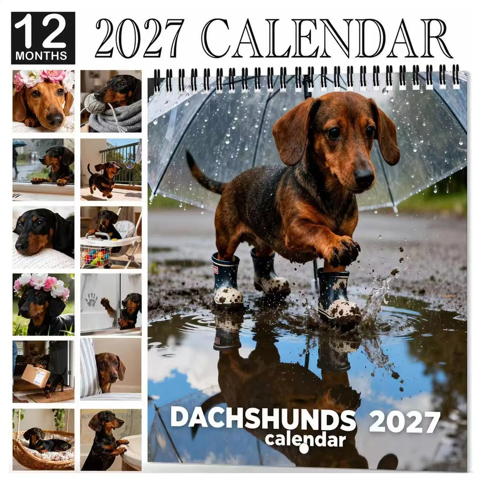 2027 Dachshund Wall Calendar 12 Month Cute Funny Sausage Dog Schedule Planner For Scheduling Organizing Planning Home Office