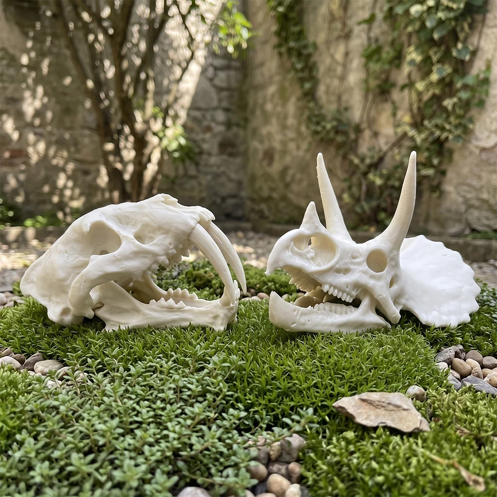 Prehistoric Triceratops & Sabertooth Tiger Double Skull Model Set, Vintage Paleontology Statue Ornament for Office Desk Decor, Perfect for Collection, Quirky Humorous Holiday Gift & Spooky Halloween Decoration