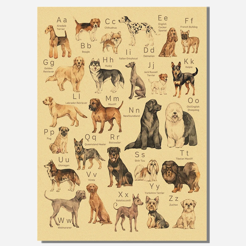 Alphabet with Cartoon Animals - đánh giá và giá Kids Education Wallpaper