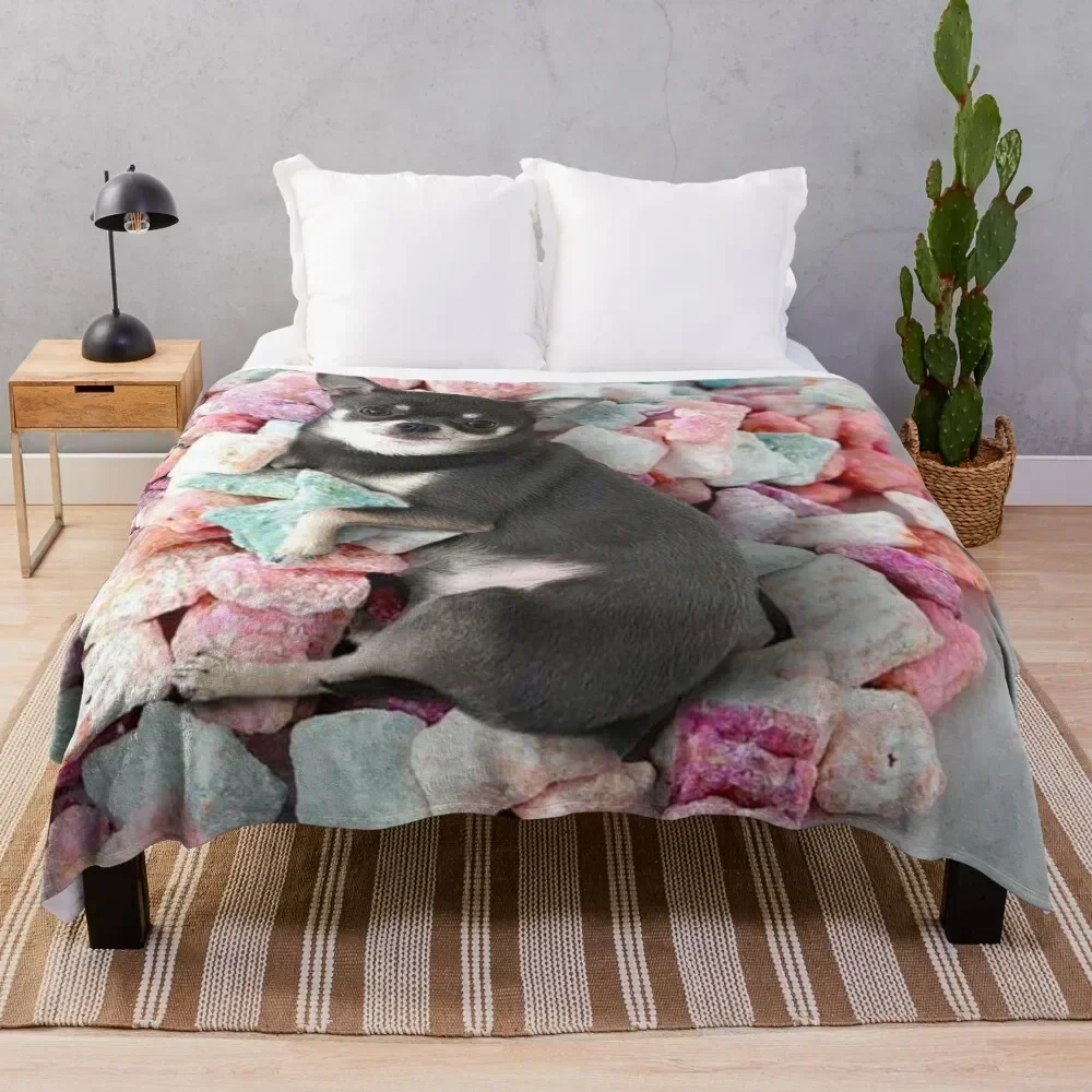 

Chihuahua Cute Candy Throw Blanket blankets and throws For Baby Blankets