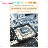 RGB Colorful LED Light Bluetooth 5.3 PA Speaker Wireless Dual Microphones KTV DSP System 3D HIFI Stereo Surround Easy Install