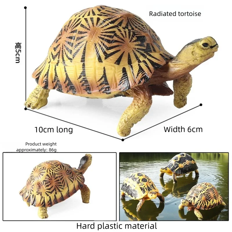 Oenux Simulations-Schildkröten-Set: Alligator, Galapagos-Schildkröte, Chinesische Weichschildkröte Figuren und Puppen – Detail 13