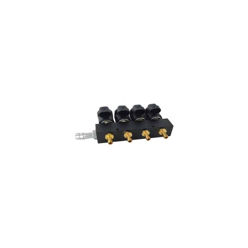 DIGI Adjustable Silent Running Cng Lpg 4 Cyl 3ohm Rail Injector Auto Parts Common lpg Nozzles