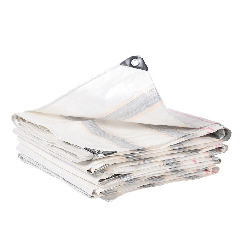 Waterproof Plastic Sheet Polyethylene Tarpaulin for Truck