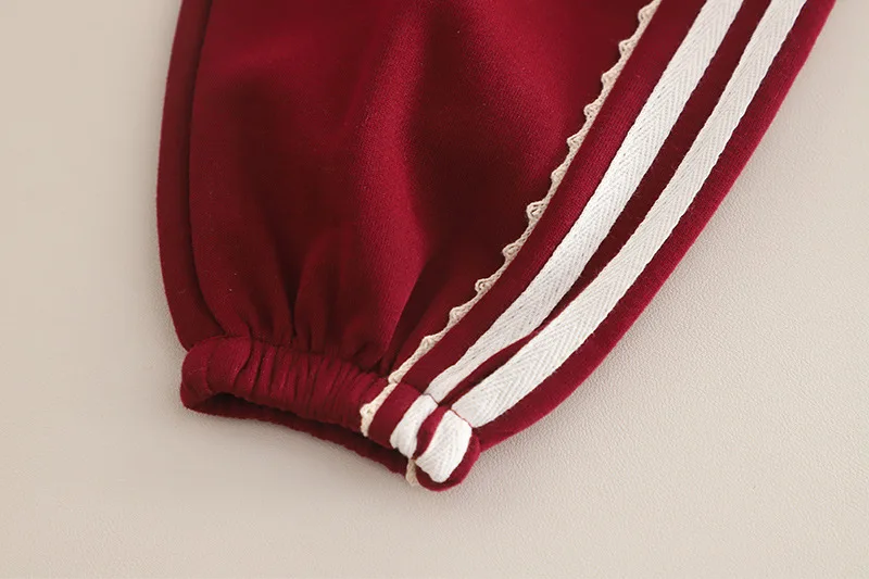 2-teiliger Trainingsanzug für kleine Mädchen, 3D-Sweatshirt mit buntem Blumendekor, Raglan-Sweatshirt, Seitenstreifen, Rüschenbündchen, Jogginghose, Kinder-Frühlingsset – Detail 10