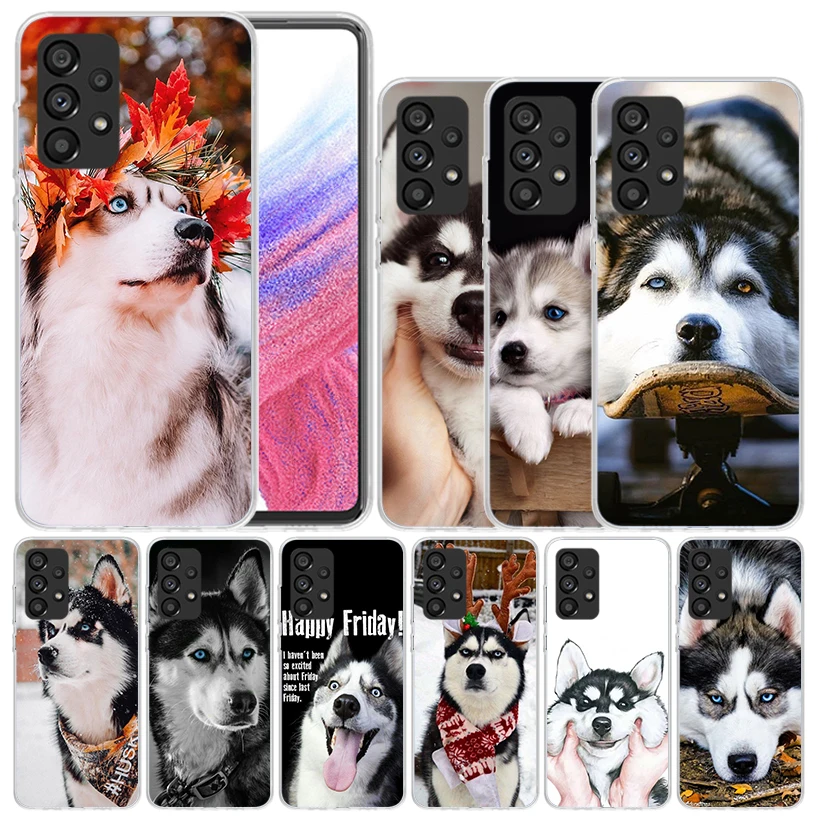 Siberian Husky Dog Soft Cover for Samsung Galaxy A16 A26 A36 A56 A15 A14 A55 A54 Phone Case A13 A53 A25 A35 A24 A34 A23 A33 A05S