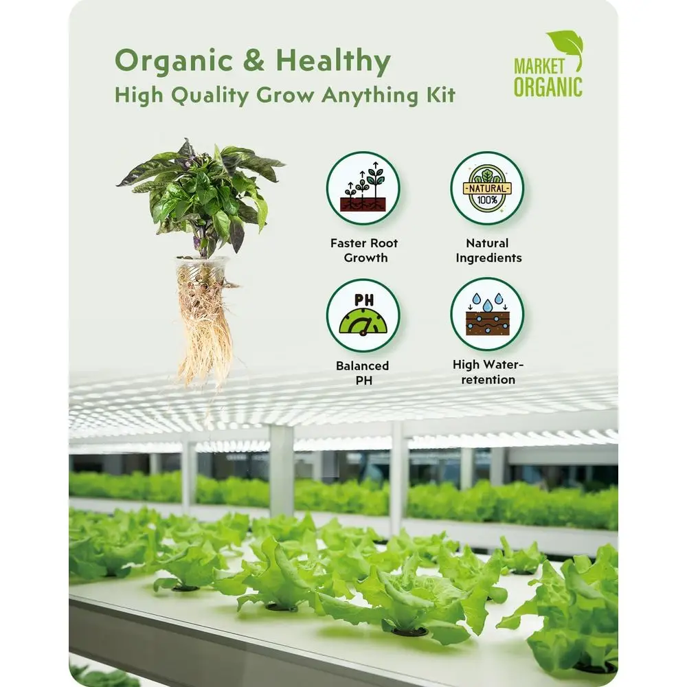 نظام الزراعة المائية المكون من 140 قطعة: متوافق مع AeroGarden، أساسيات مجموعة الأعشاب - الإسفنج والسلال والقباب والملصقات