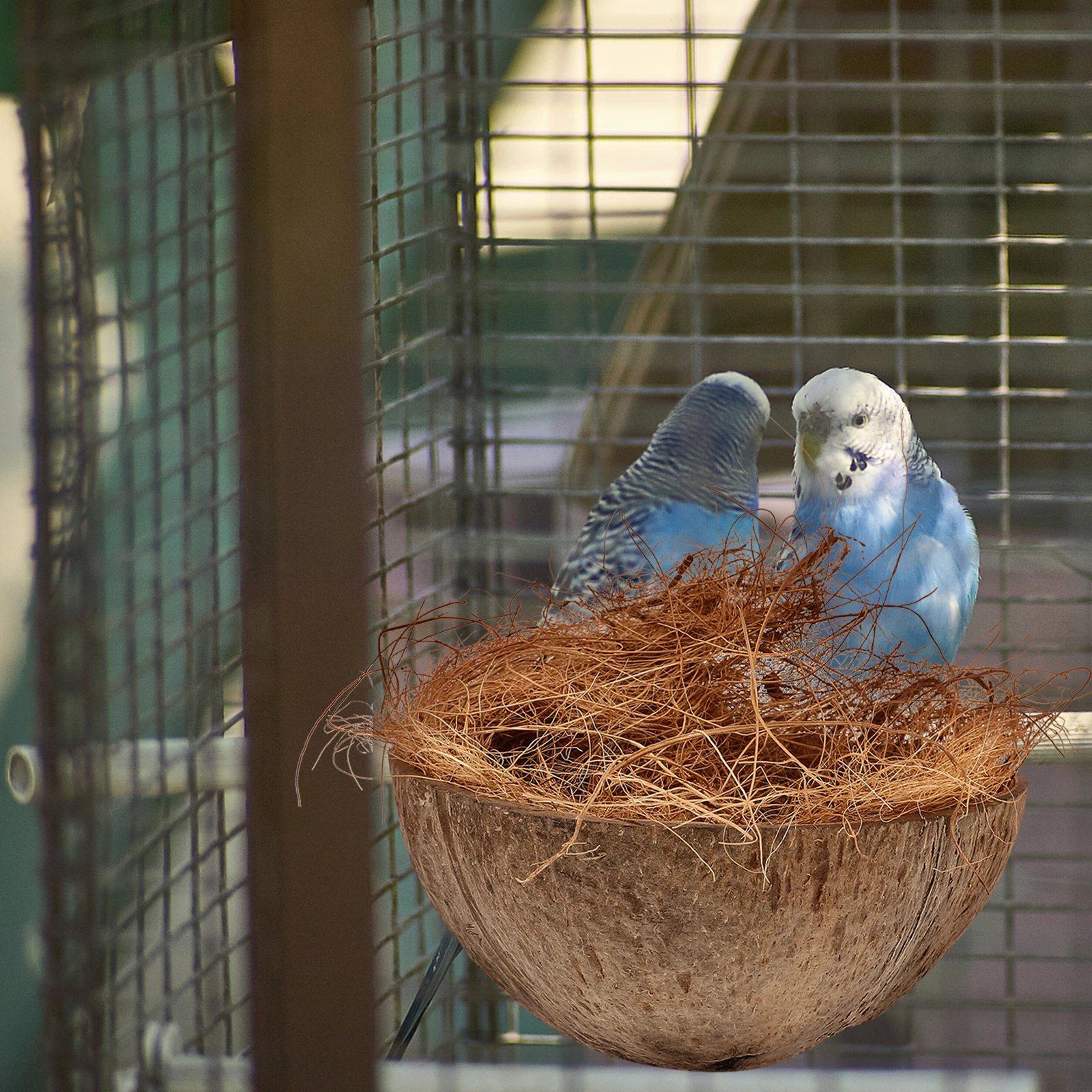 

Parrot Birdcage Coconuts Shell Nest Natural Bird House For Breeding Sleeping Playing Outside Hanging Garden Nest