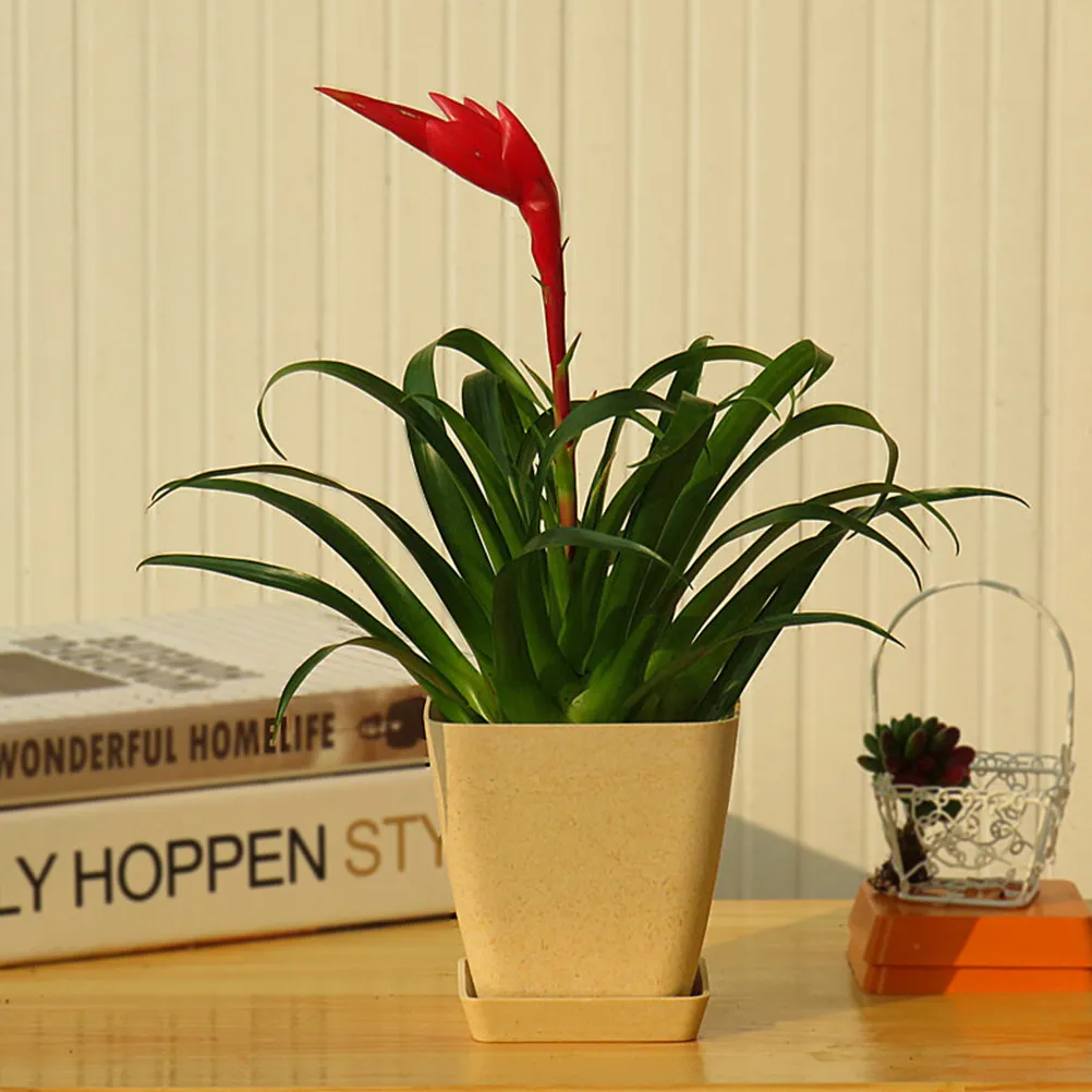 

2 комплекта маленьких квадратных цветочных горшков для суккулентов, прочные, легкие, для декора дома и офиса, молочно-белые, для садоводства